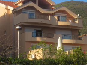 Отель Apartments City Center  Тиват